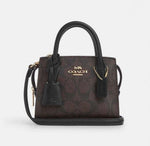 Coach Andrea Mini Carryall