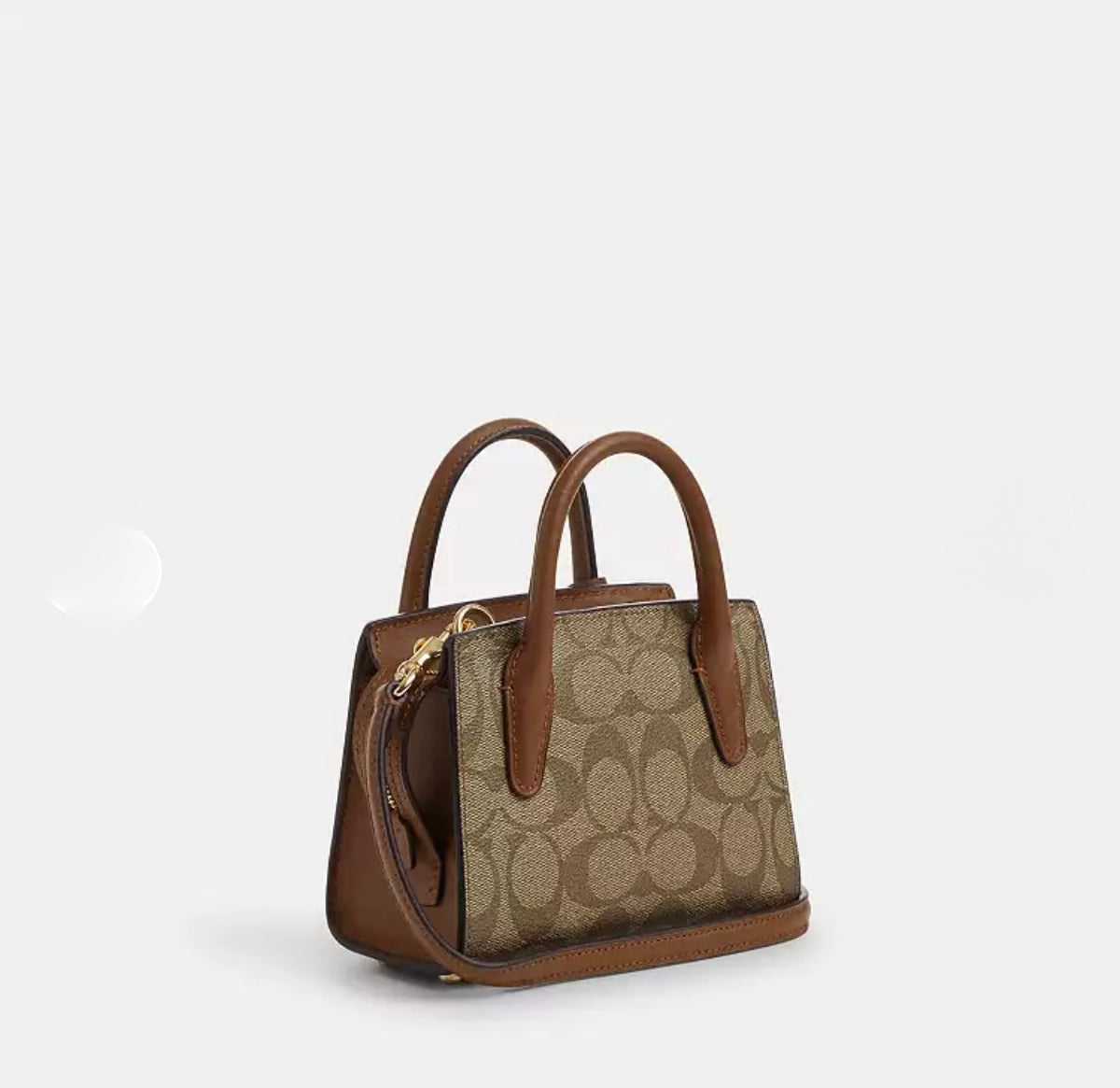 Andrea Mini Carryall In Signature Canvas