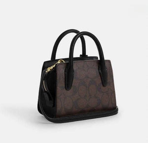 Coach Andrea Mini Carryall