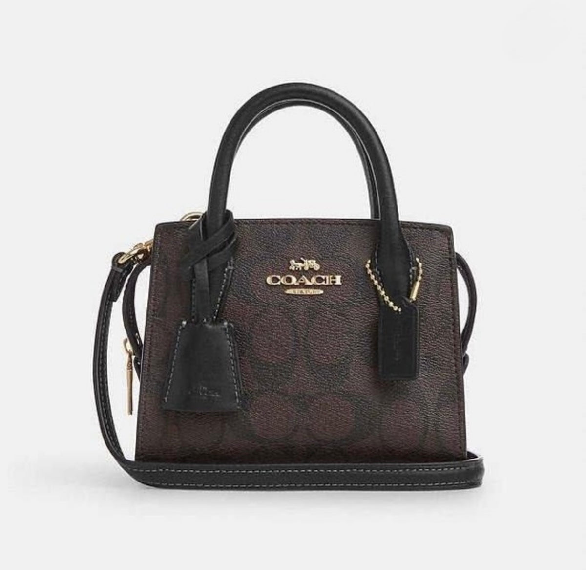 Coach Andrea Mini Carryall