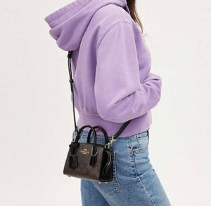 Coach Andrea Mini Carryall